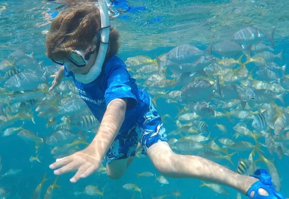 image Snorkeling