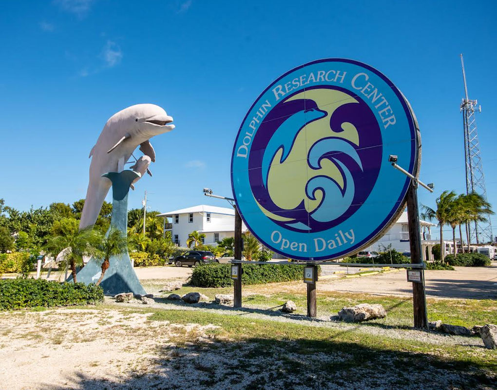 Dolphin Center