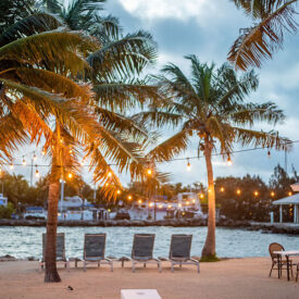 The Pointe