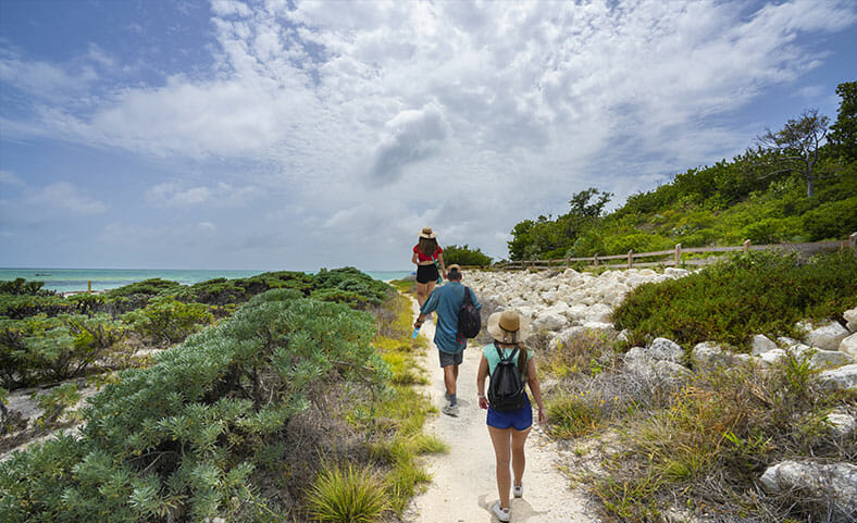 Bahia Trail