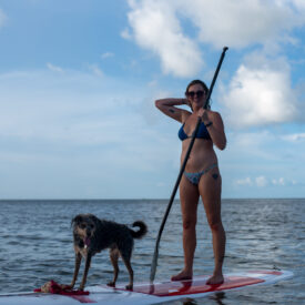 stand up paddleboard