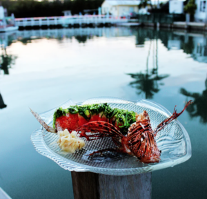 lionfish sushi roll from castaways marathon fl