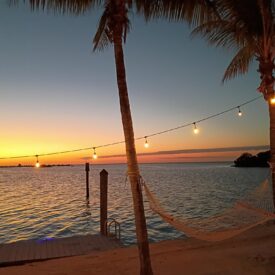 the pointe bar