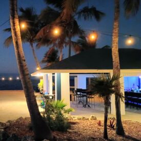 the pointe bar