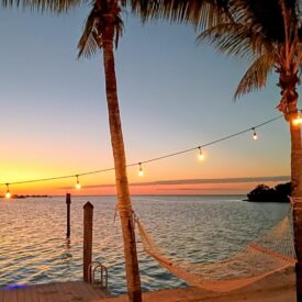 the pointe bar